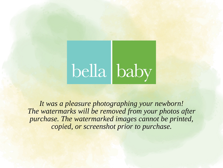 Image 25